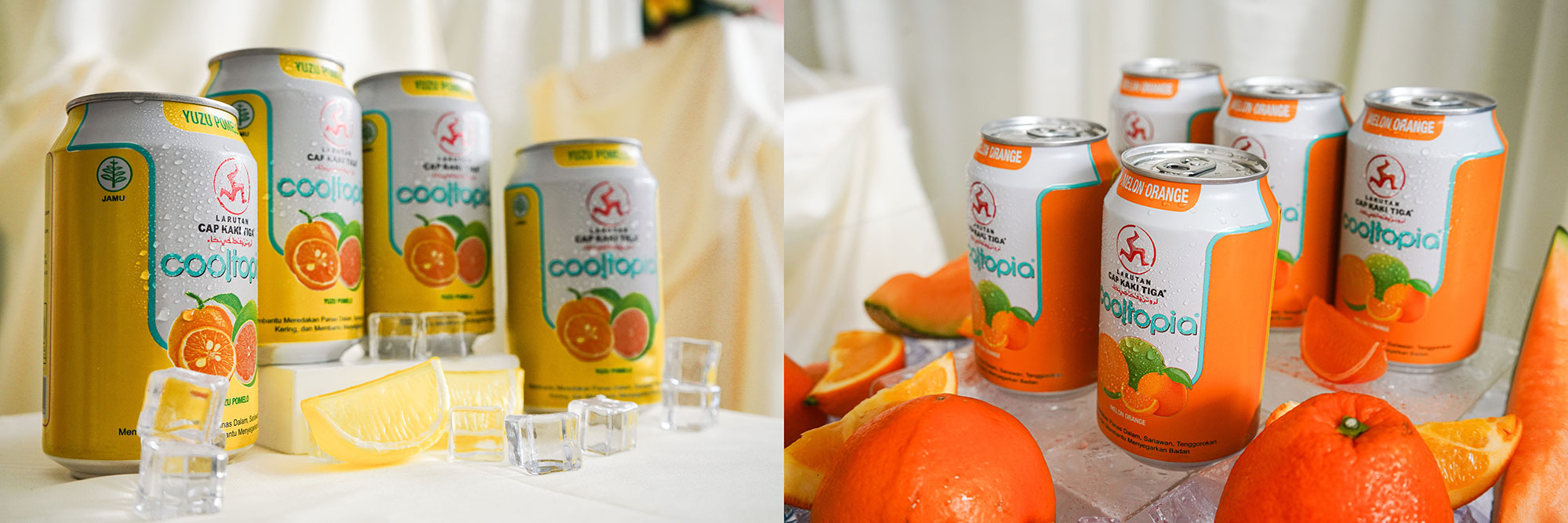 Cooltopia Yuzu Pomelo & Melon Orange